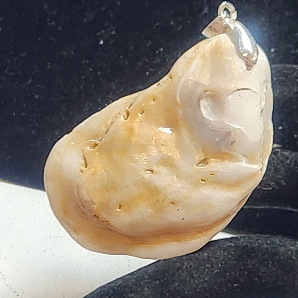 Natural Shell Pendant Organic Coastal Nautical Sea Shell Jewelry 2 Inch‎